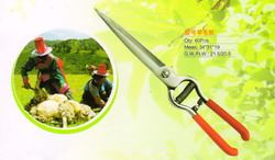 Sheep shears